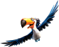 飞翔的鸟 PNG素材 透明底 免抠图 动物素材 里约大冒险