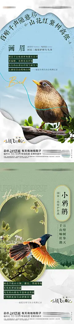 鸟类观测科普海报-设计素材-shejisc.cn