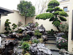 Garden-Liu采集到B庭院元素——假山流水