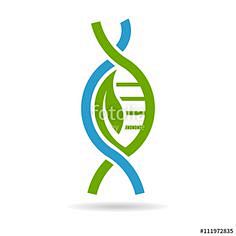 "Biology DNA logo. V...