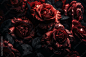 Abstract dark floral design featuring black and red roses, suitable for prints, postcards, or wallpaper. AI file available. Generative AI