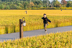 BoundlessQ采集到Beautiful countryside