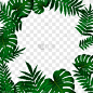 tropical pattern