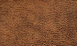 New Leather Texture