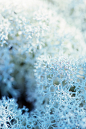 Withinfinite on Behance