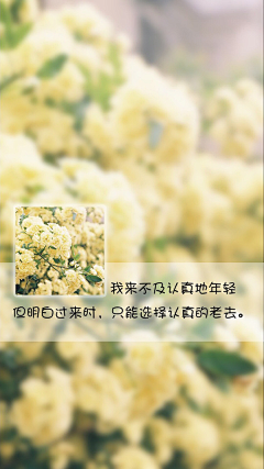 狸宝✨采集到文字