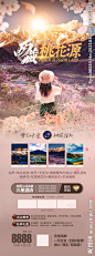西藏花季