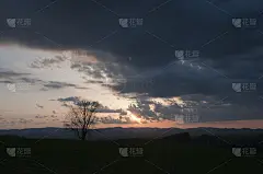 黄昏的天空和冬天的树林