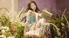 电脑壁纸  IU
