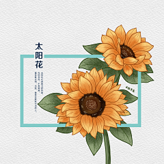 陆溢晨采集到植物插画
