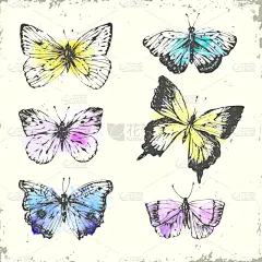 墨水,蝴蝶,动物手,水彩画,贺卡,水彩画颜料,背景分离,浪漫,复古风格,蛾