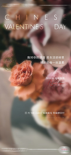 斑马还没睡520采集到3.14