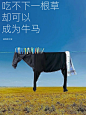 说来就来！这组感官文案最后一个破大防！ - 小红书