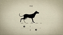 卓园采集到gif