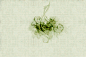 _green_texture_2