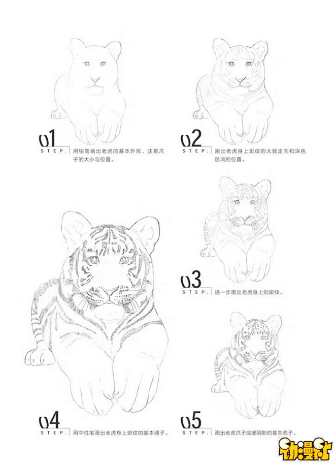 《上吧！素描达人必修课——动物篇》自学教...