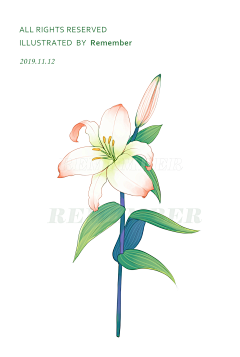 Remember9采集到动漫