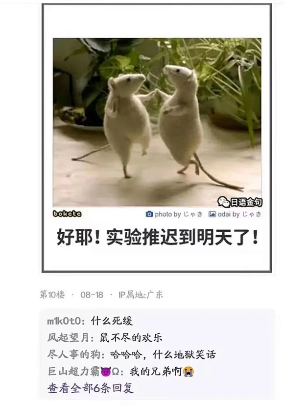当你觉得自己搞砸了工作_吊图吧_百度贴吧-花瓣网
