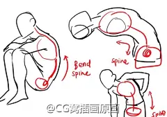 #绘画参考#人体背部，腿部画法参考.转发有奖：OCG窝插画原画手绘板绘画游戏美术