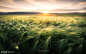 Let the Light In by Casey McCallister on 500px