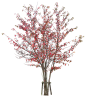 丛生樱花