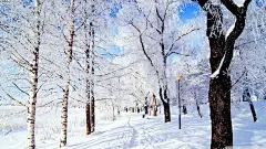 冬季仙境43076_冬雪系列_风景风光类_图库壁纸_联盟素材