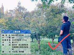 西瓜瓜123采集到植物选型