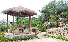 穿过一片开着花的地采集到廊架、凉亭