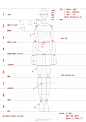 全新-160个服装人体动态【线稿】素材分享！（独家珍藏版）_比例 : 人体是服装画学习中非常重要的一个基本功 ，我们在画服装画时，无论是手绘还是电脑绘制，无论手法和风格如何变化，都还是要以比例协调、结构准确的人体为基础。 在刚刚开始接触服装款式图和设计图的时候…