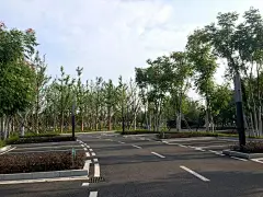 长沙坪塘巴溪洲丨SWA - 学景观 - 资源中心