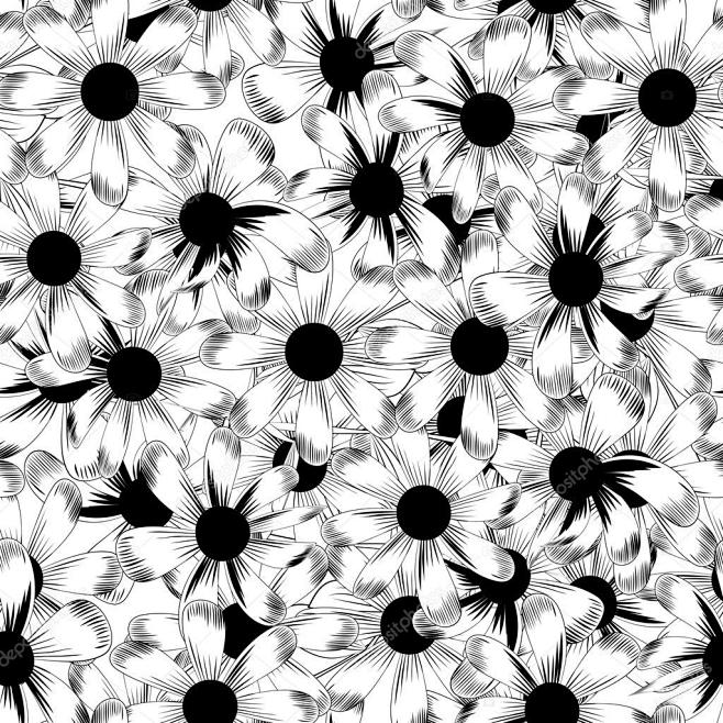 矢量无缝的黑色和白色背景图案的雏菊