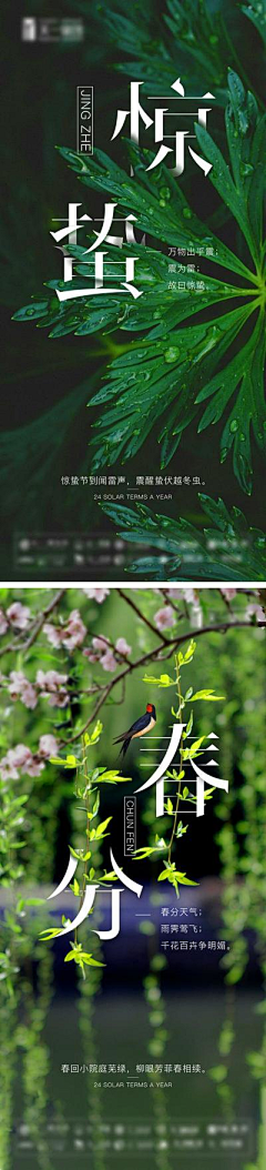 3iZoDtCP采集到雨水