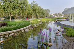 Zhou旺旺旺采集到05-滨水·湿地 公园