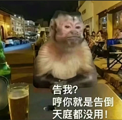 名字切一半采集到1-3