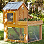 【庭院DIY】花园里的鸡舍——豪华别墅型