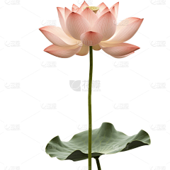 用户zHGoflZB采集到电商-古风