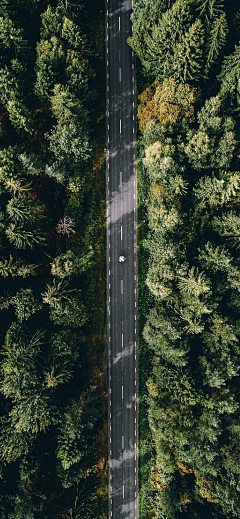 尛琴采集到生态