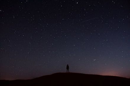 要以星星为目标，那样的话，即使掉下来，你...