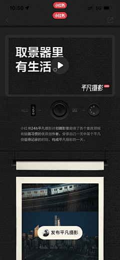 单良ShanLiang采集到版面设计