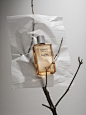 This contains an image of: AUTUMN EscENTIALS 2019: The skin we live in. - Scentury
