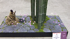 w1james采集到花架景观