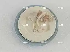 平躺 盘子 浪漫的 花 风格 花的 装饰性的 自然 花壁纸