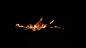 Fire14__00009
