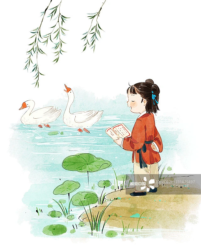 古诗词水墨插画-咏鹅图片素材-花瓣网