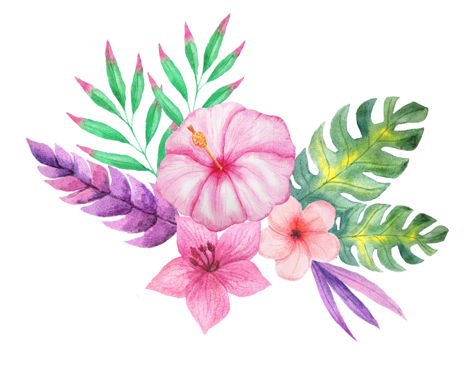 手绘玫瑰花花朵 植物 PNG 素材