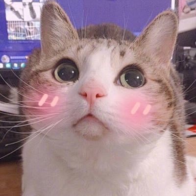 可爱猫星人卖萌头像_微信头像_我要个性网