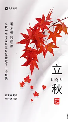 立秋节气枫叶白色创意简洁海报