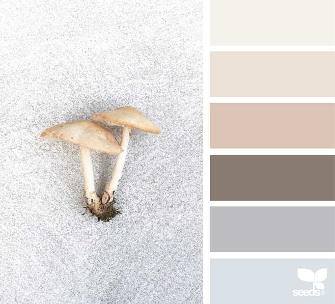 { tender tones } ima...