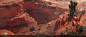 sean-obrigewitch-naha-tp-wilderness-08-3840.jpg (3840×1646)