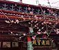 大林寺桃花〔唐〕白居易
//
人间四月芳菲尽，山寺桃花始盛开。
长恨春归无觅处，不知转入此中来。